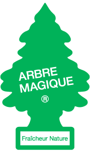 Historique ARBRE MAGIQUE - SDAA